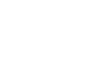 Evolution games at Spin Samba Casino